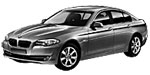 BMW F10 P313B Fault Code